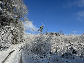 Forst - Süri