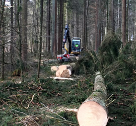 2018 Wintersturm Burglind - Schäden - Räumung